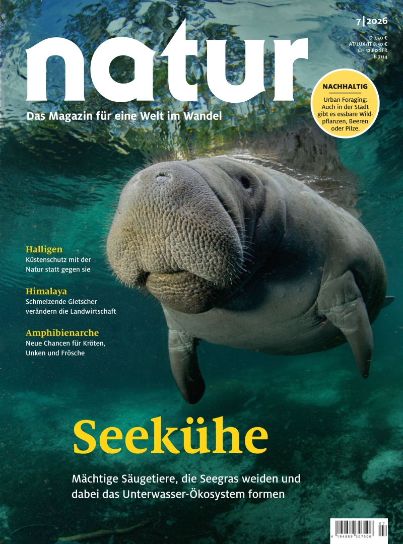 natur