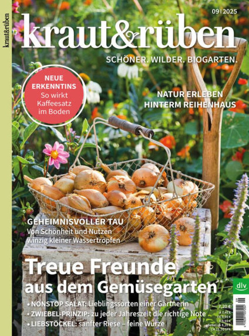 kraut & rüben