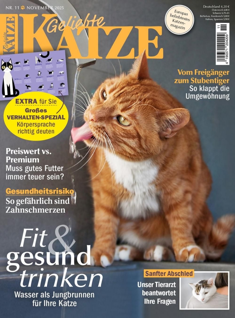 Geliebte KATZE