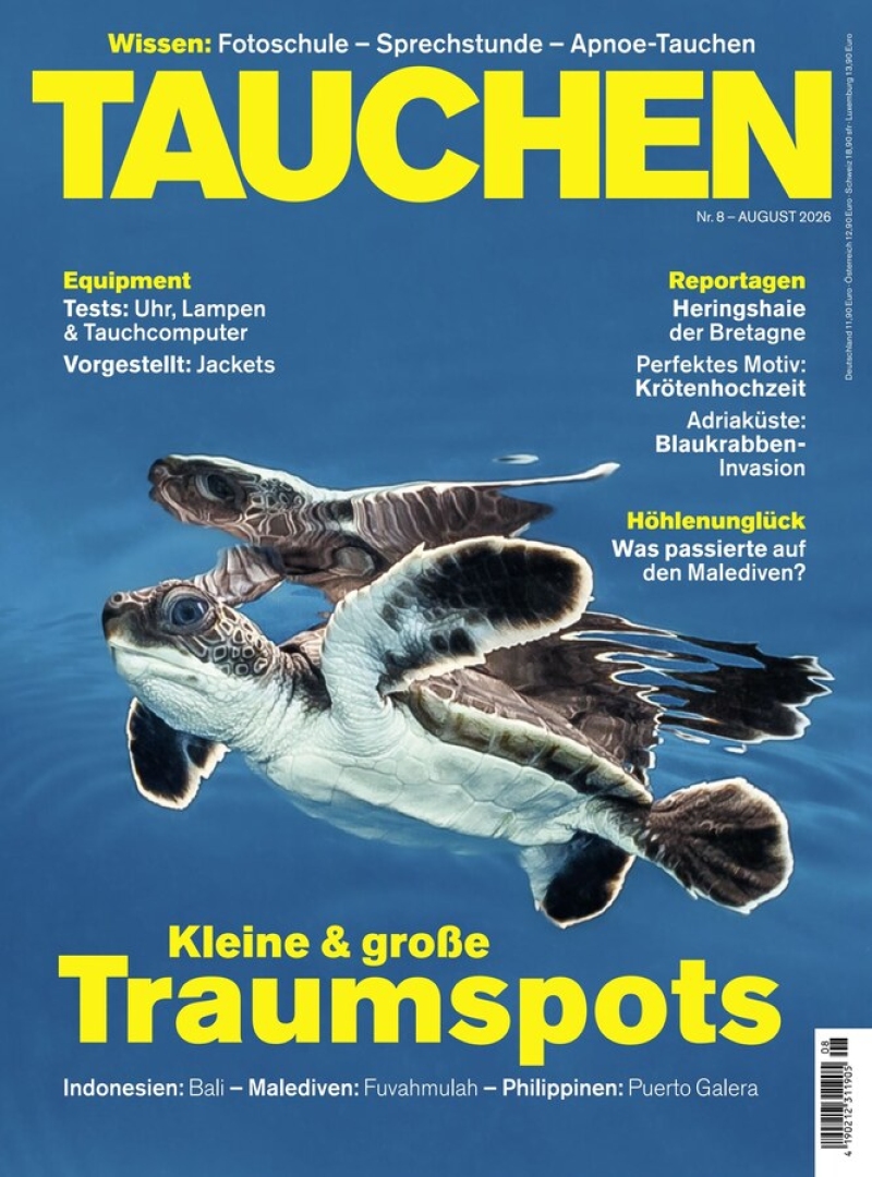 tauchen