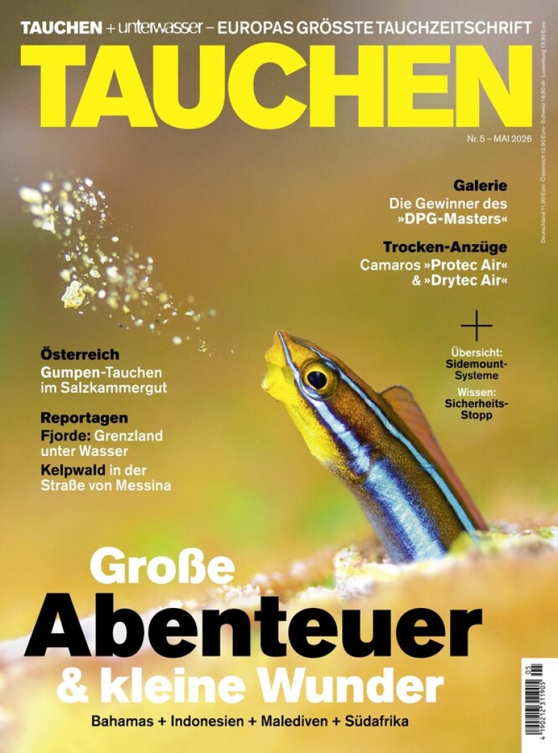 tauchen