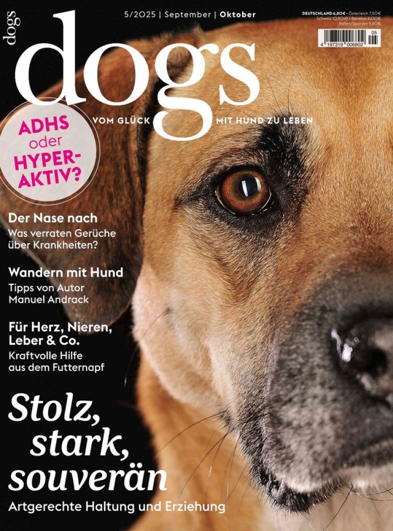 dogs